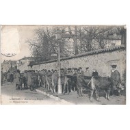 Limoges- Marché aux Bœufs 